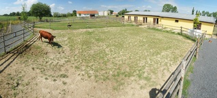 Panorama výběhů u Malé farmy